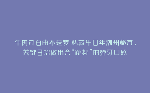 牛肉丸自由不是梦！私藏40年潮州秘方，关键3招做出会“跳舞”的弹牙口感！
