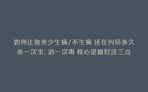 如何让鱼类少生病/不生病？还在纠结多久杀一次虫、消一次毒？核心是做好这三点！