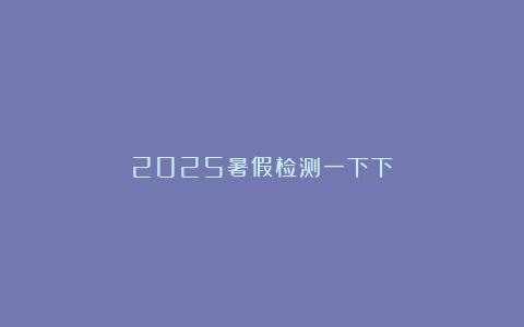 2025暑假检测一下下