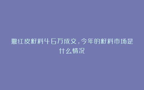 撒红皮籽料46万成交,今年的籽料市场是什么情况?