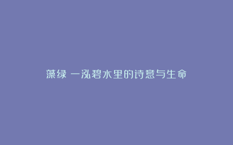 藻绿：一泓碧水里的诗意与生命