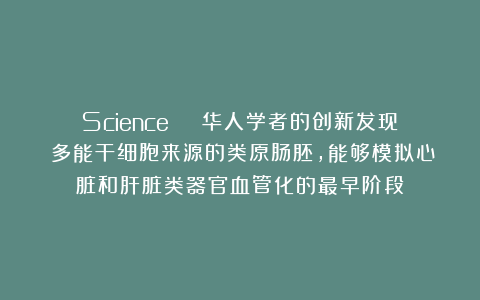 Science | 华人学者的创新发现！多能干细胞来源的类原肠胚，能够模拟心脏和肝脏类器官血管化的最早阶段