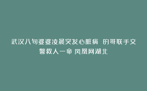 武汉八旬婆婆凌晨突发心脏病 的哥联手交警救人一命！凤凰网湖北