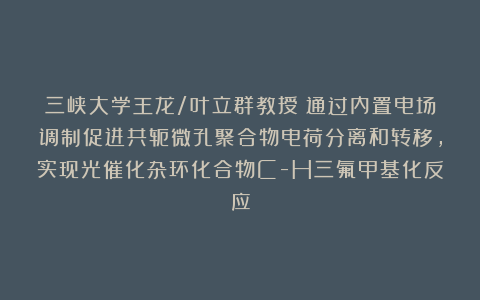 三峡大学王龙/叶立群教授：通过内置电场调制促进共轭微孔聚合物电荷分离和转移，实现光催化杂环化合物C-H三氟甲基化反应