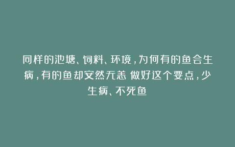 同样的池塘、饲料、环境，为何有的鱼会生病，有的鱼却安然无恙？做好这个要点，少生病、不死鱼！