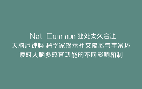​​Nat Commun：独处太久会让大脑迟钝吗？科学家揭示社交隔离与丰富环境对大脑多感官功能的不同影响机制​