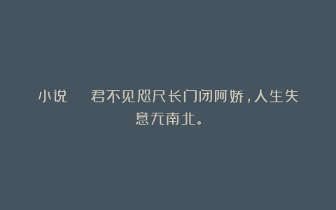 小说 | 君不见咫尺长门闭阿娇，人生失意无南北。