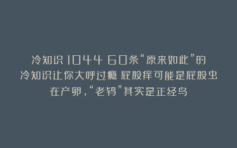 冷知识（1044）60条“原来如此”的冷知识让你大呼过瘾：屁股痒可能是屁股虫在产卵，“老鸨”其实是正经鸟