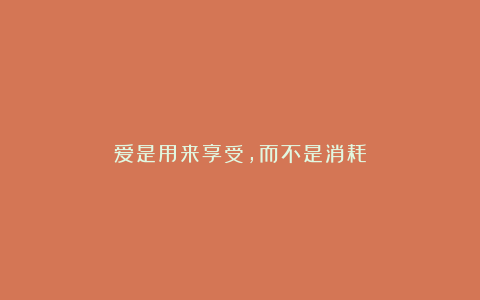 爱是用来享受，而不是消耗