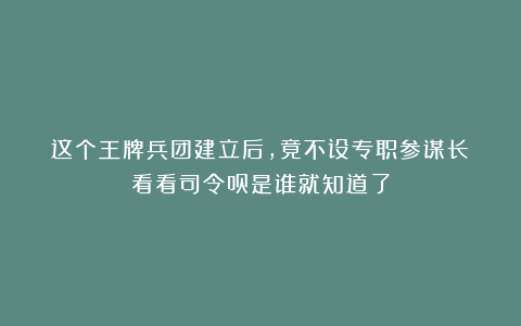 这个王牌兵团建立后，竟不设专职参谋长？看看司令员是谁就知道了