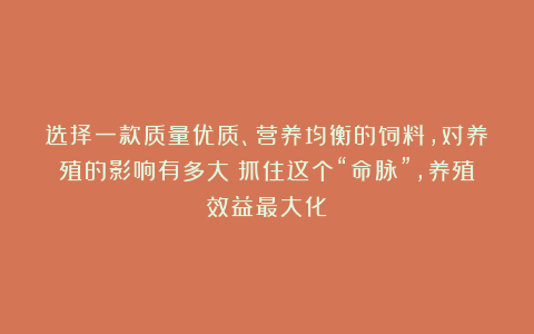 选择一款质量优质、营养均衡的饲料，对养殖的影响有多大？抓住这个“命脉”，养殖效益最大化！