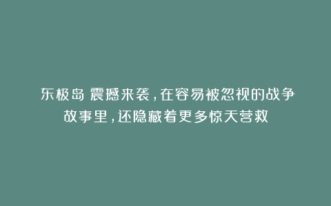 《东极岛》震撼来袭，在容易被忽视的战争故事里，还隐藏着更多惊天营救