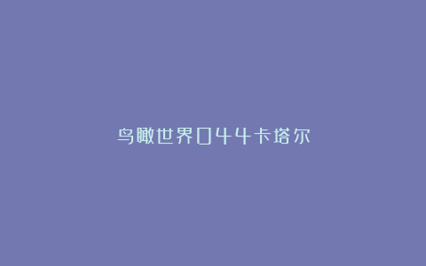 鸟瞰世界044卡塔尔