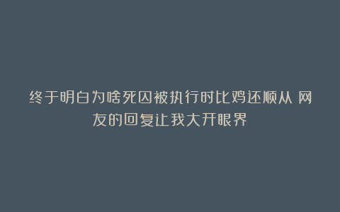 终于明白为啥死囚被执行时比鸡还顺从！网友的回复让我大开眼界！