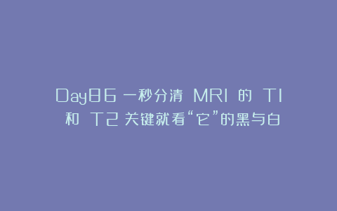 Day86：一秒分清 MRI 的 T1 和 T2：关键就看“它”的黑与白！
