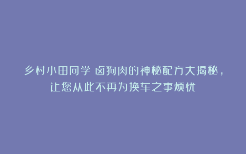 乡村小田同学：卤狗肉的神秘配方大揭秘，让您从此不再为换车之事烦忧！