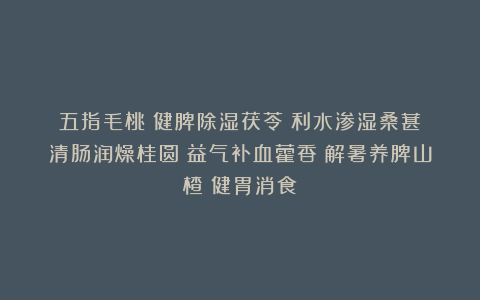 五指毛桃：健脾除湿茯苓：利水渗湿桑葚：清肠润燥桂圆：益气补血藿香：解暑养脾山楂：健胃消食