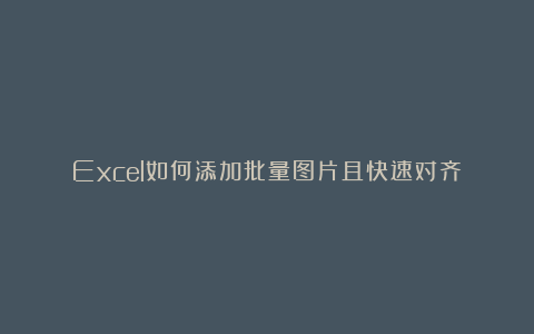 Excel如何添加批量图片且快速对齐？