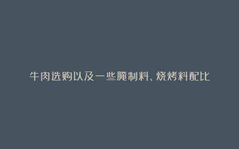 牛肉选购以及一些腌制料、烧烤料配比