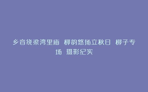 乡音绕梁湾里庙 梆韵悠扬立秋日 梆子专场 摄影纪实