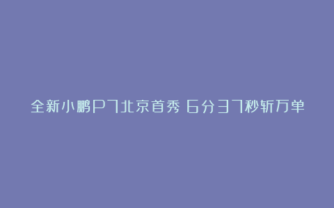 全新小鹏P7北京首秀：6分37秒斩万单