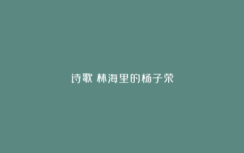 诗歌：林海里的杨子荣