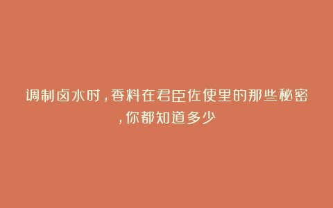 调制卤水时，香料在君臣佐使里的那些秘密，你都知道多少？