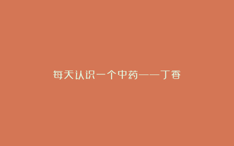 每天认识一个中药——丁香