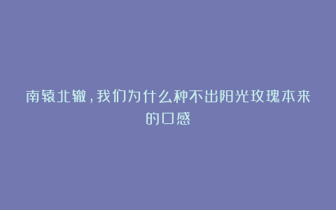 南辕北辙，我们为什么种不出阳光玫瑰本来的口感？