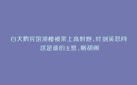 白天鹅宾馆顶楼被架上高射炮，叶剑英怒问：这是谁的主意，瞎胡闹