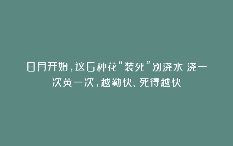 8月开始，这6种花“装死”别浇水！浇一次黄一次，越勤快、死得越快！