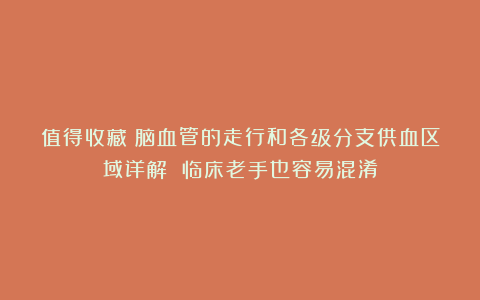 值得收藏丨脑血管的走行和各级分支供血区域详解 临床老手也容易混淆