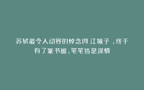 苏轼最令人动容的悼念词《江城子》，终于有了篆书版，笔笔皆是深情
