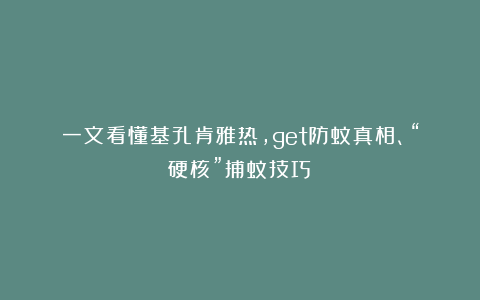 一文看懂基孔肯雅热，get防蚊真相、“硬核”捕蚊技巧！