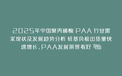 2025年中国聚丙烯酸（PAA）行业需求现状及发展趋势分析：硅基负极出货量快速增长，PAA发展前景看好「图」
