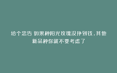 给个忠告：如果种阳光玫瑰没挣到钱，其他新品种你就不要考虑了