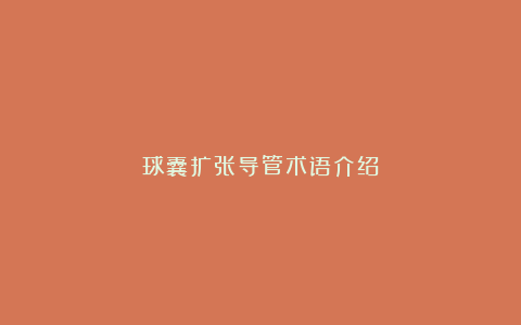 球囊扩张导管术语介绍