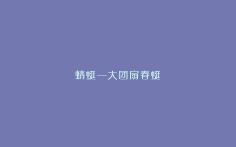 蜻蜓—大团扇春蜓