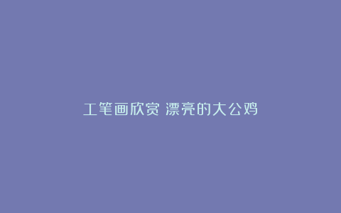 工笔画欣赏《漂亮的大公鸡》