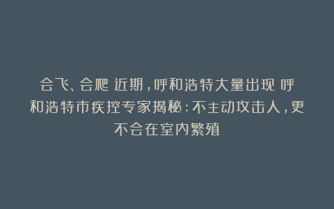 会飞、会爬！近期，呼和浩特大量出现！呼和浩特市疾控专家揭秘:不主动攻击人，更不会在室内繁殖