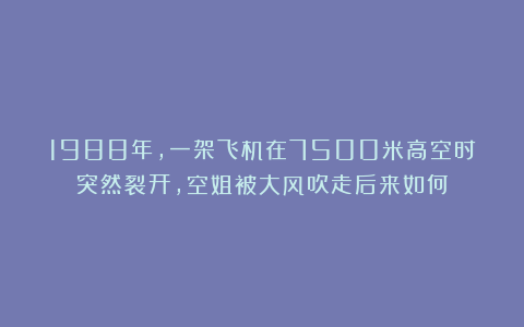 1988年,一架飞机在7500米高空时突然裂开,空姐被大风吹走后来如何