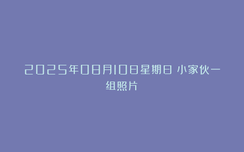 2025年08月10日星期日（小家伙一组照片）