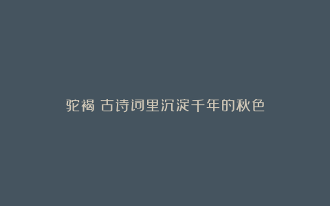 驼褐：古诗词里沉淀千年的秋色