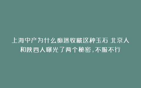 上海中产为什么痴迷收藏这种玉石？北京人和陕西人曝光了两个秘密，不服不行！