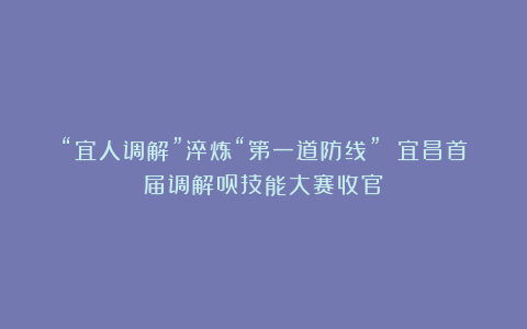 “宜人调解”淬炼“第一道防线” 宜昌首届调解员技能大赛收官
