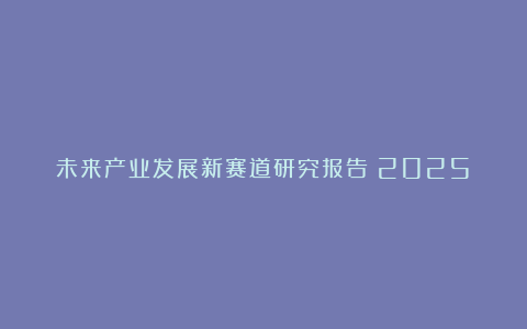 未来产业发展新赛道研究报告（2025）