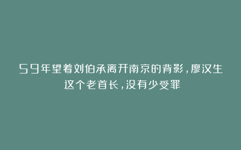 59年望着刘伯承离开南京的背影，廖汉生：这个老首长，没有少受罪