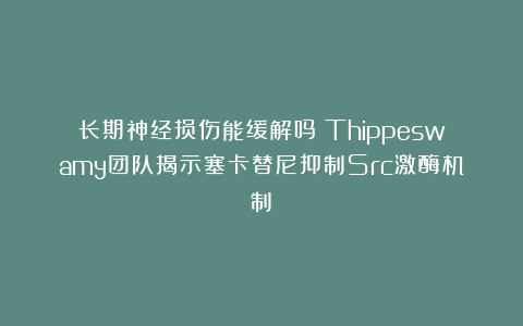 长期神经损伤能缓解吗？Thippeswamy团队揭示塞卡替尼抑制Src激酶机制​