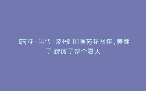 【荷花·当代·晓丹】国画荷花图集，美翻了！绽放了整个夏天