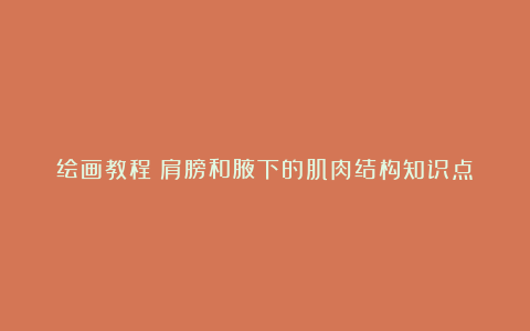 绘画教程｜肩膀和腋下的肌肉结构知识点﻿